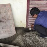 अवैध निर्माण पर एमडीडीए की कार्रवाई, दो भवन सील